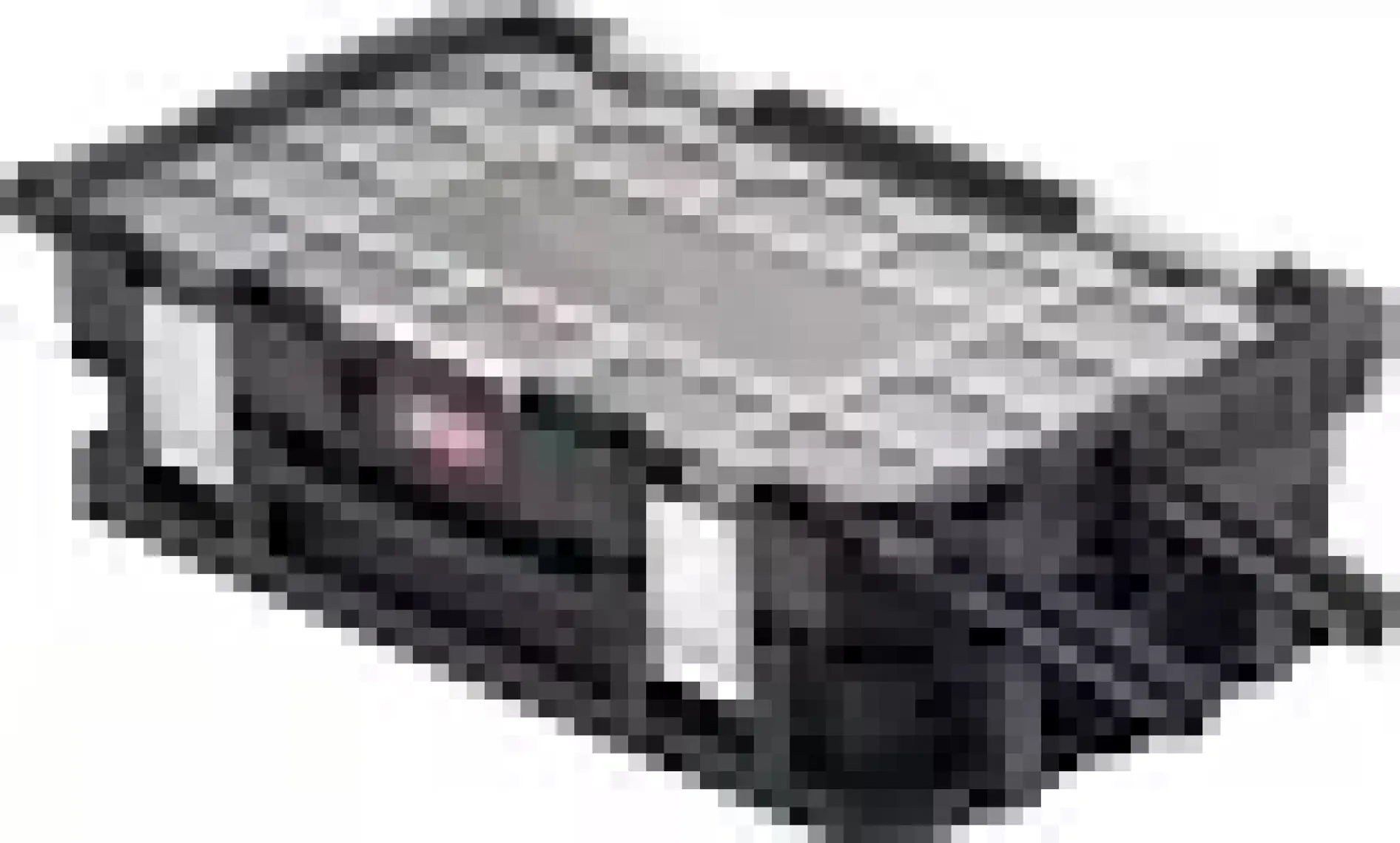 Keter Connect Cantılever Organızer Takım Çantası 17203103