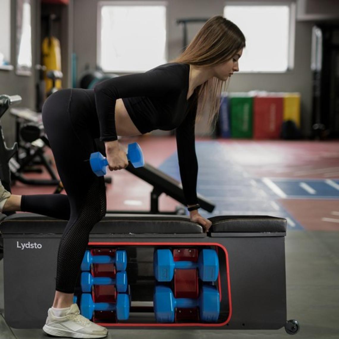 Lydsto Çok Fonksiyonlu Dumbell Bench