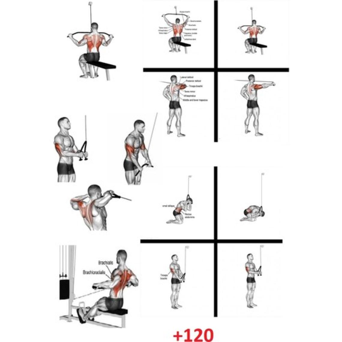 Esi Fitness Cable Crossover Lat Station  Çalışma Istasyonu