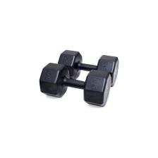 Besinistanbul Ps Spor 20 kg Dambıl Set (2 Adet 10 kg Gönderim Yapılır )