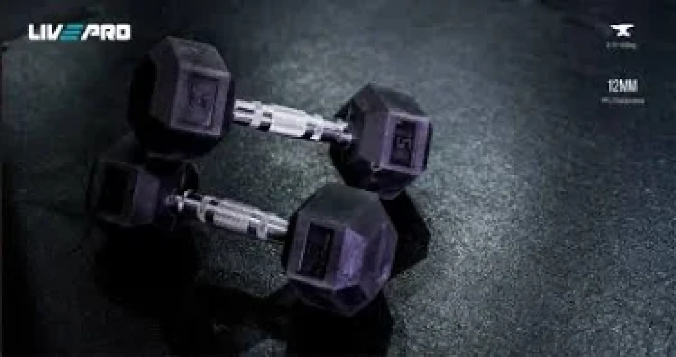 Livepro LP8005 10 Kg Premium Hex Dambıl