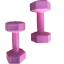 CK Spor 1 kg x 2 Adet Plastik Dambıl Seti