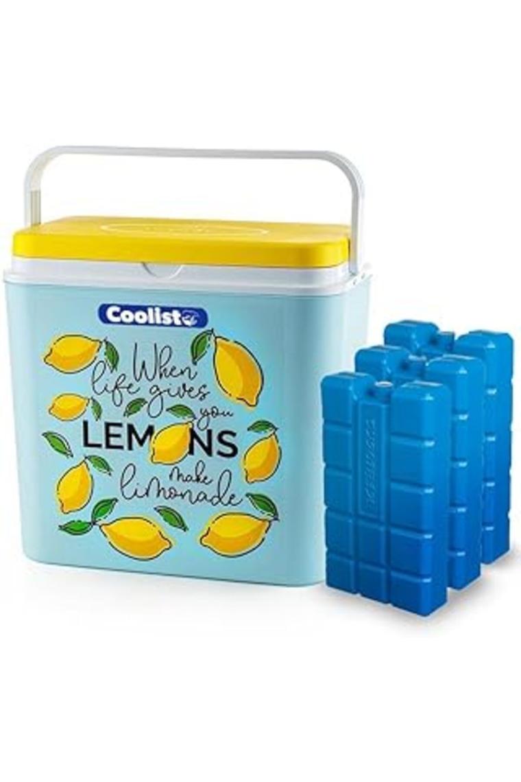 Clb24lm 24 Litre Limon Desenli Buzluk 2 Adet 400gr. Buz Kaseti