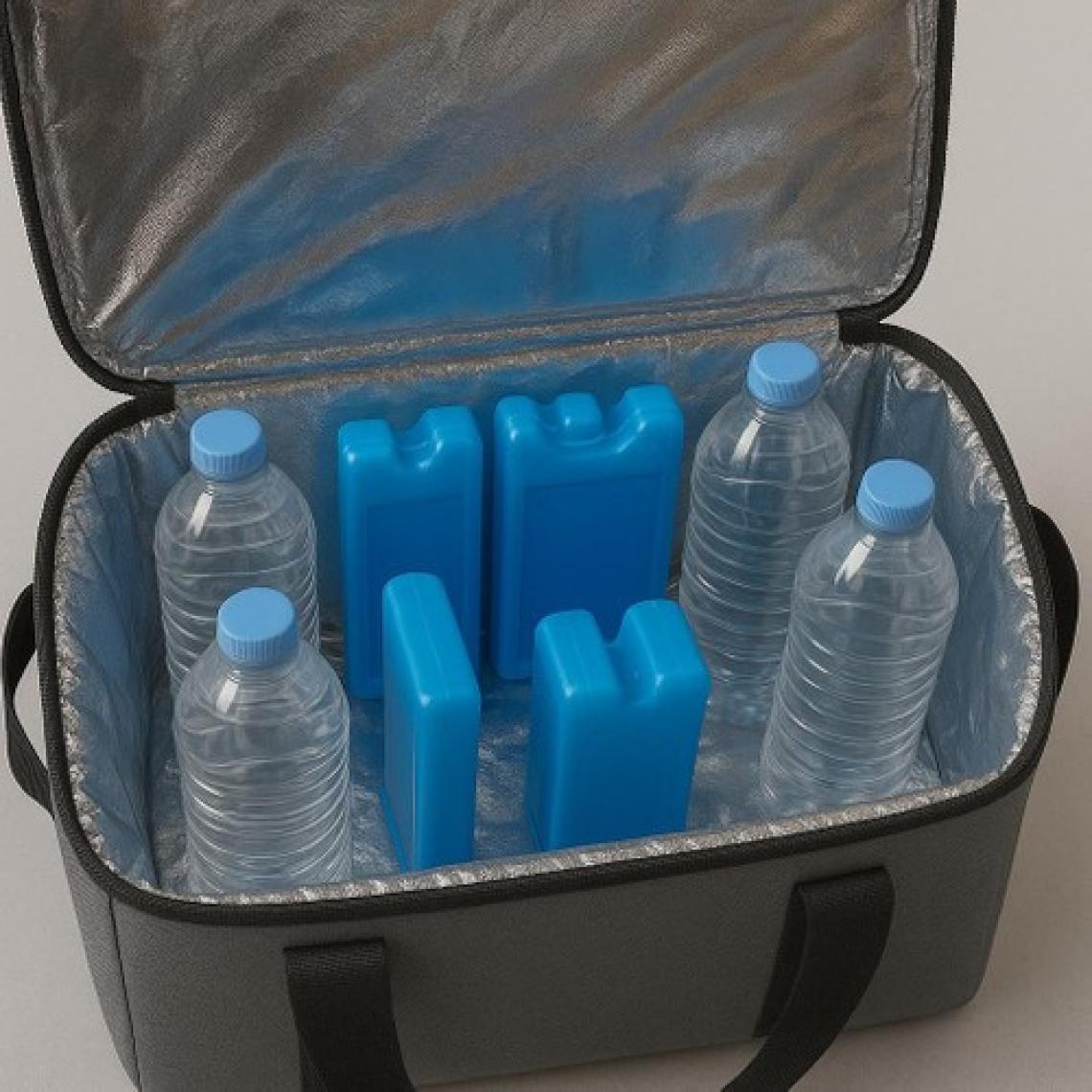Bambus Home Termal Çanta 40 Litre Termos El Çantası Buzluk Piknik Çantası
