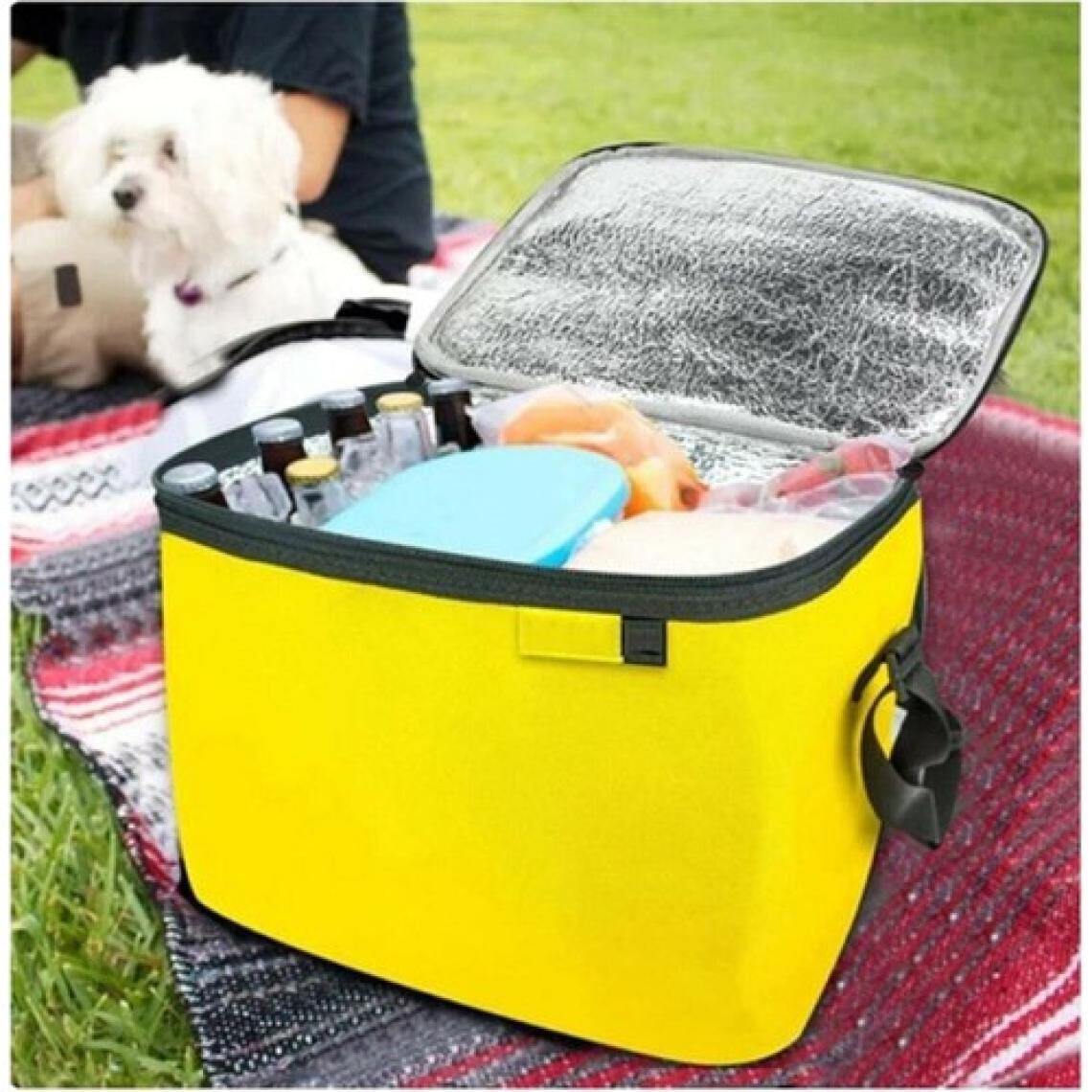 Termos Çanta - Piknik Çantası Buz Aküsü Hediyeli 40LT