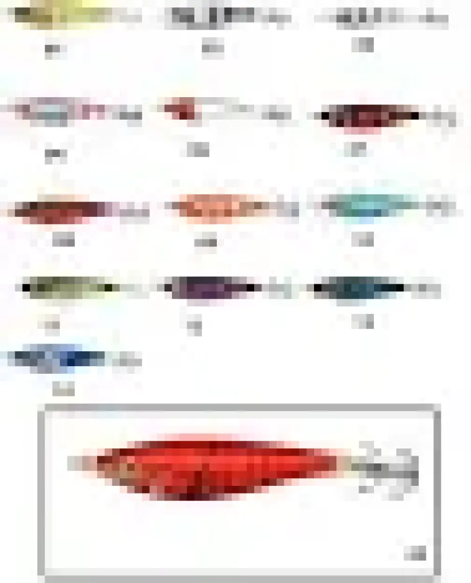 Captain Kalamar Zokkaa Toto Squid 7cm Kalamar Zokası