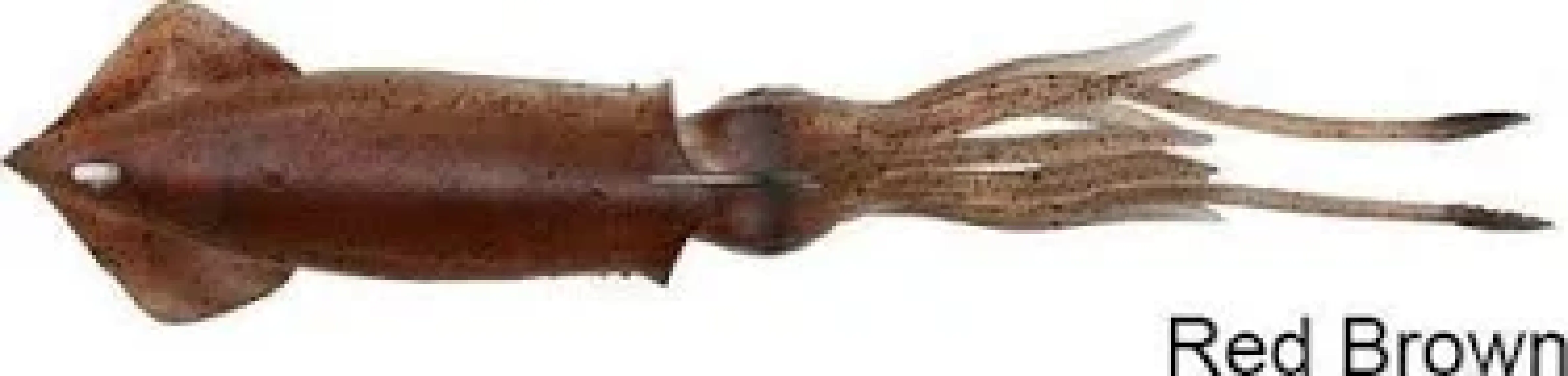 Savage Gear 3D Tpe Swim Squid 9,5Cm 10Gr Kalamar Silikon Yem