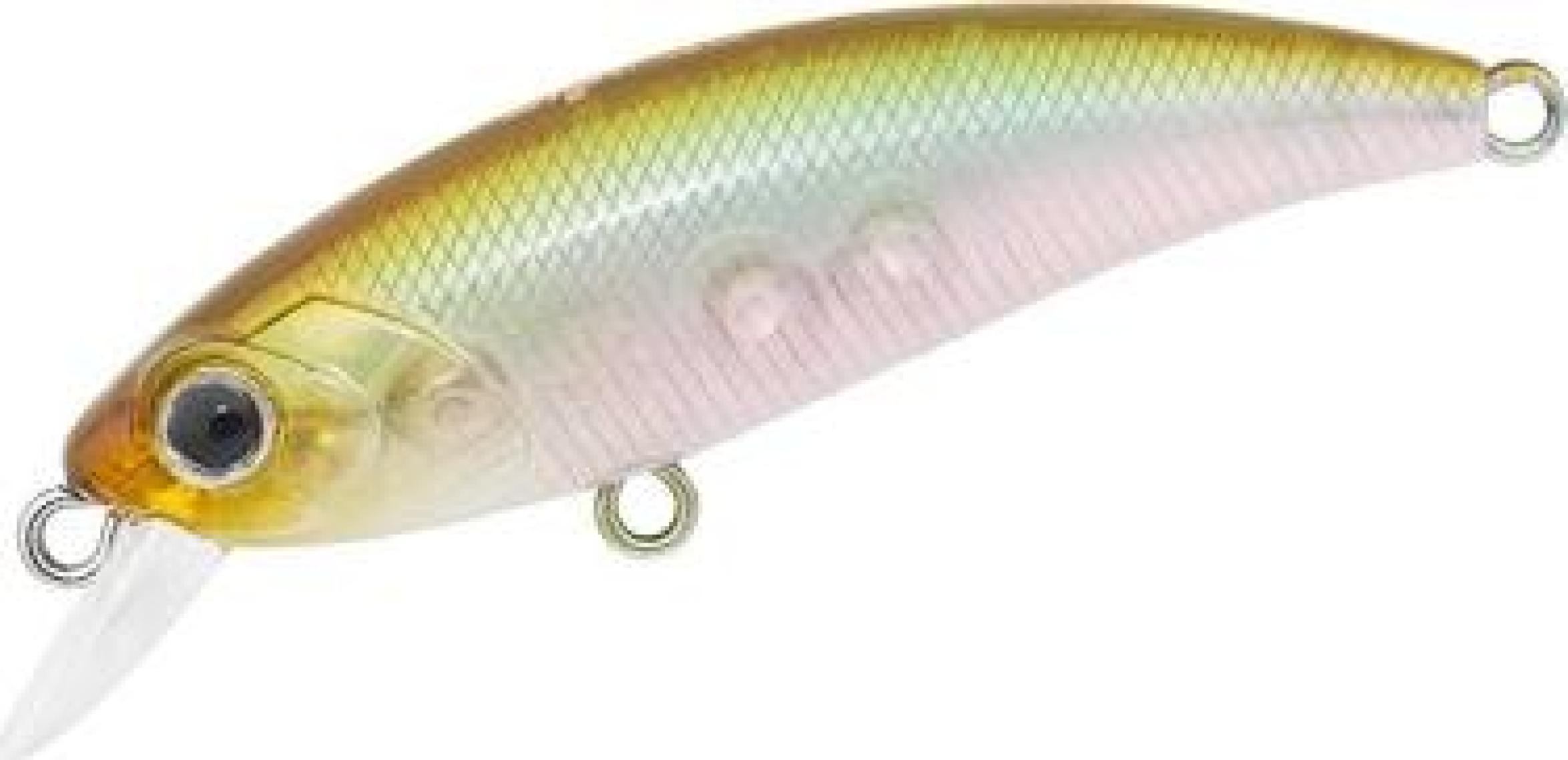 Han Fish Zıpır kg