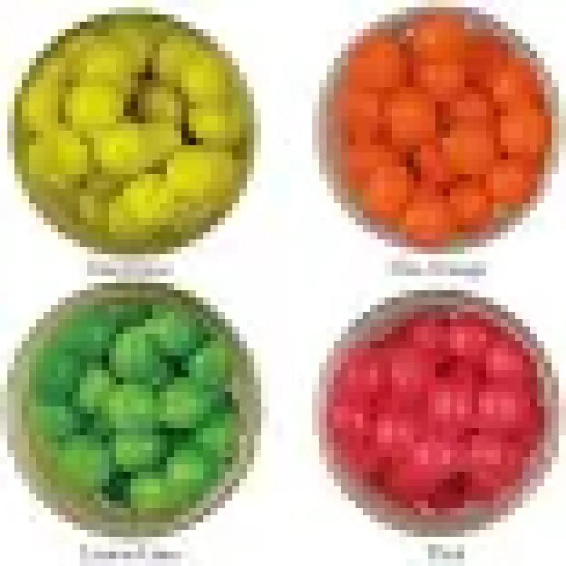 Berkley Sparkle Power Eggs Floating Magnum Sahte Yemi