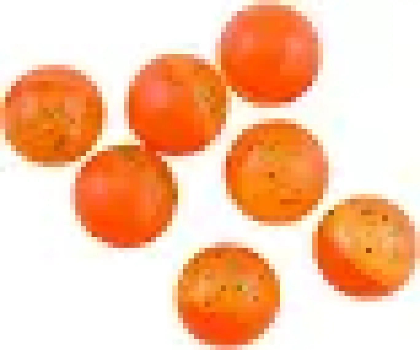 Berkley Sparkle Power Eggs Floating Magnum Sahte Yemi