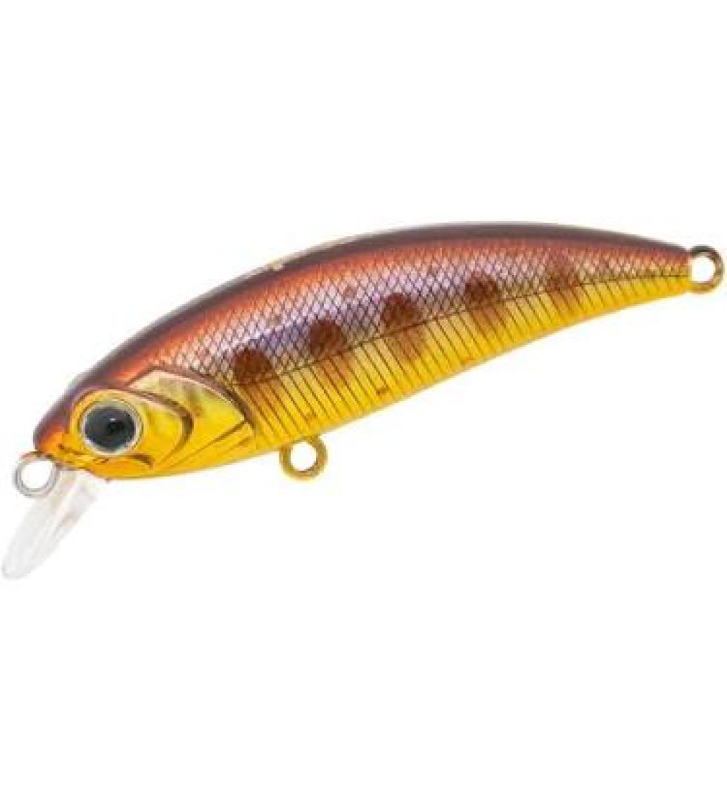 Han Fish Zıpır kg