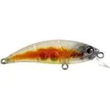 Han Fish Zıpır kg