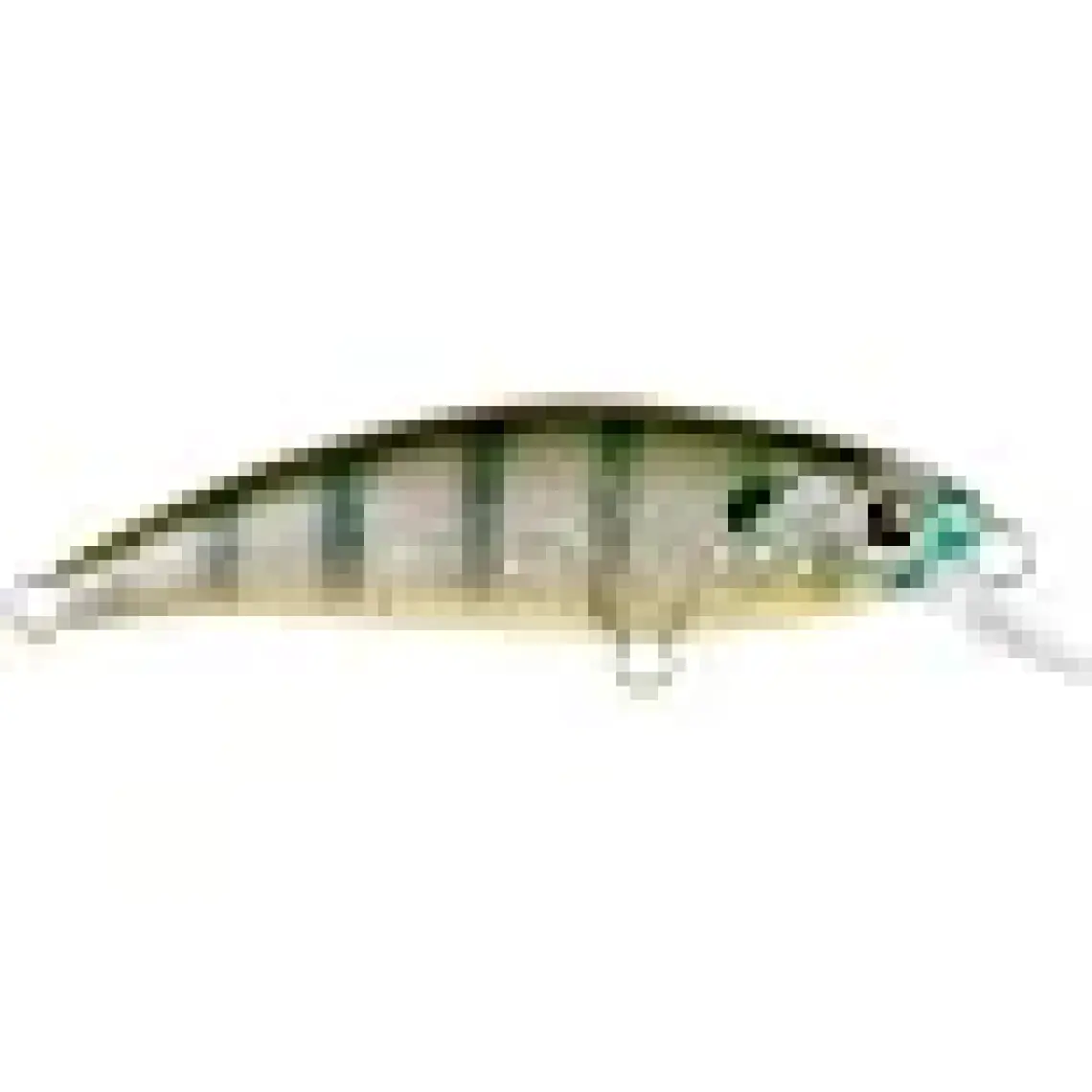 Han Fish Zıpır kg