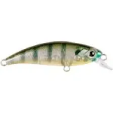 Han Fish Zıpır kg