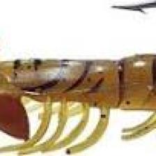 Osaka Caridina Shrimp 7.62 cm 6.5 gr Silikon Karides Yem