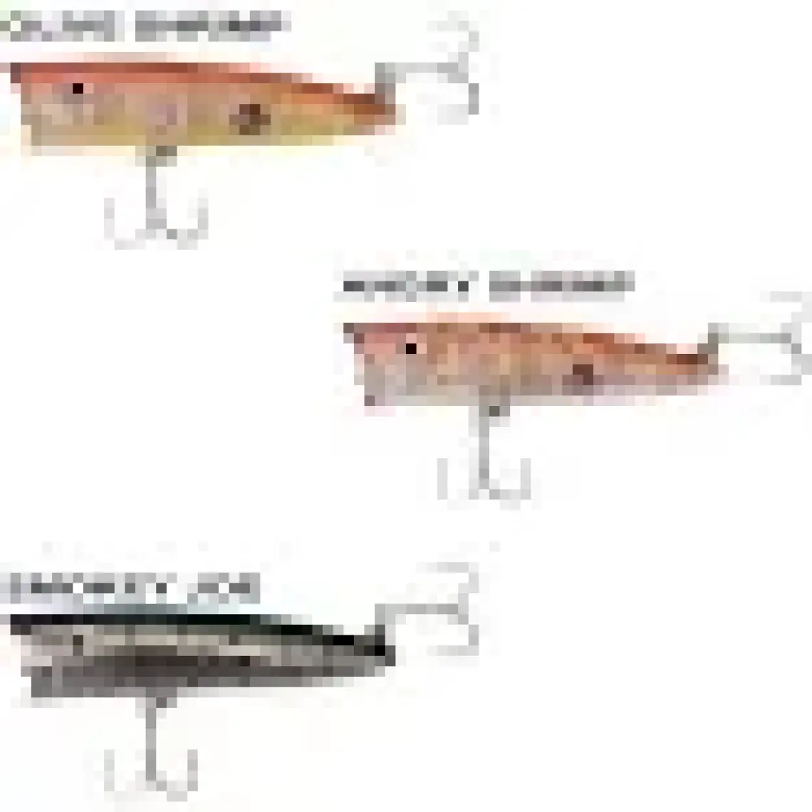 Ryuji Sea Popper 7cm 8,5gr Su Üstü Yem