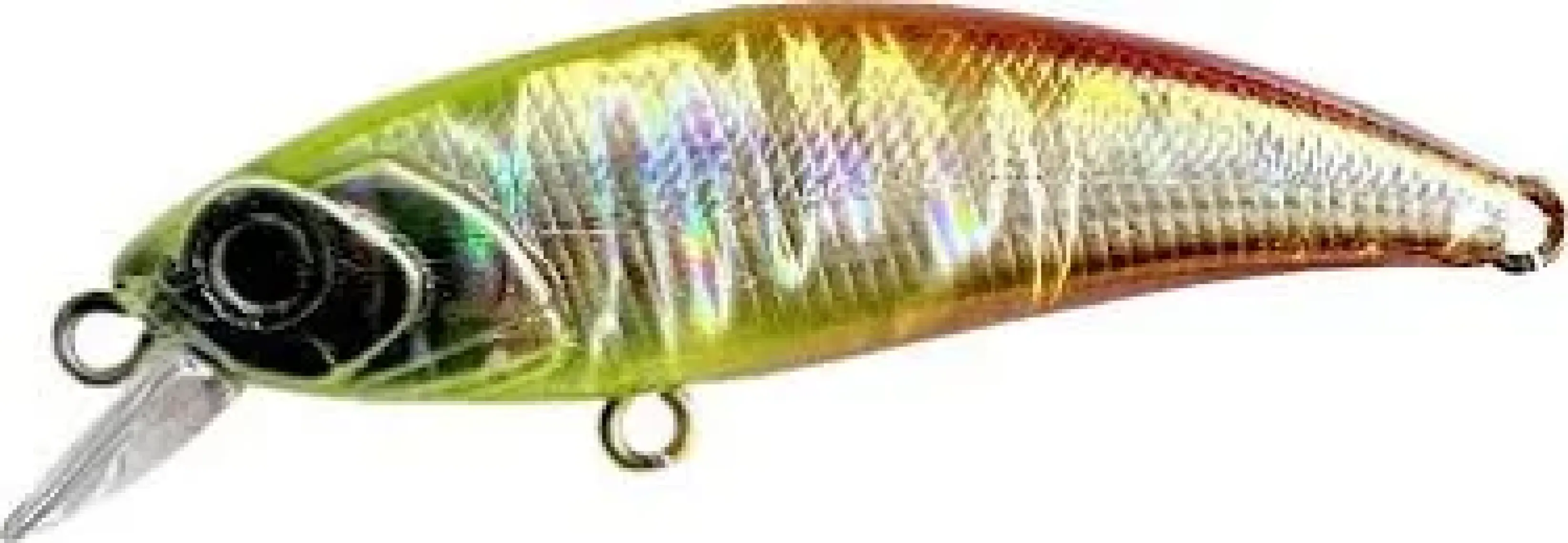 Han Fish Zıpır kg