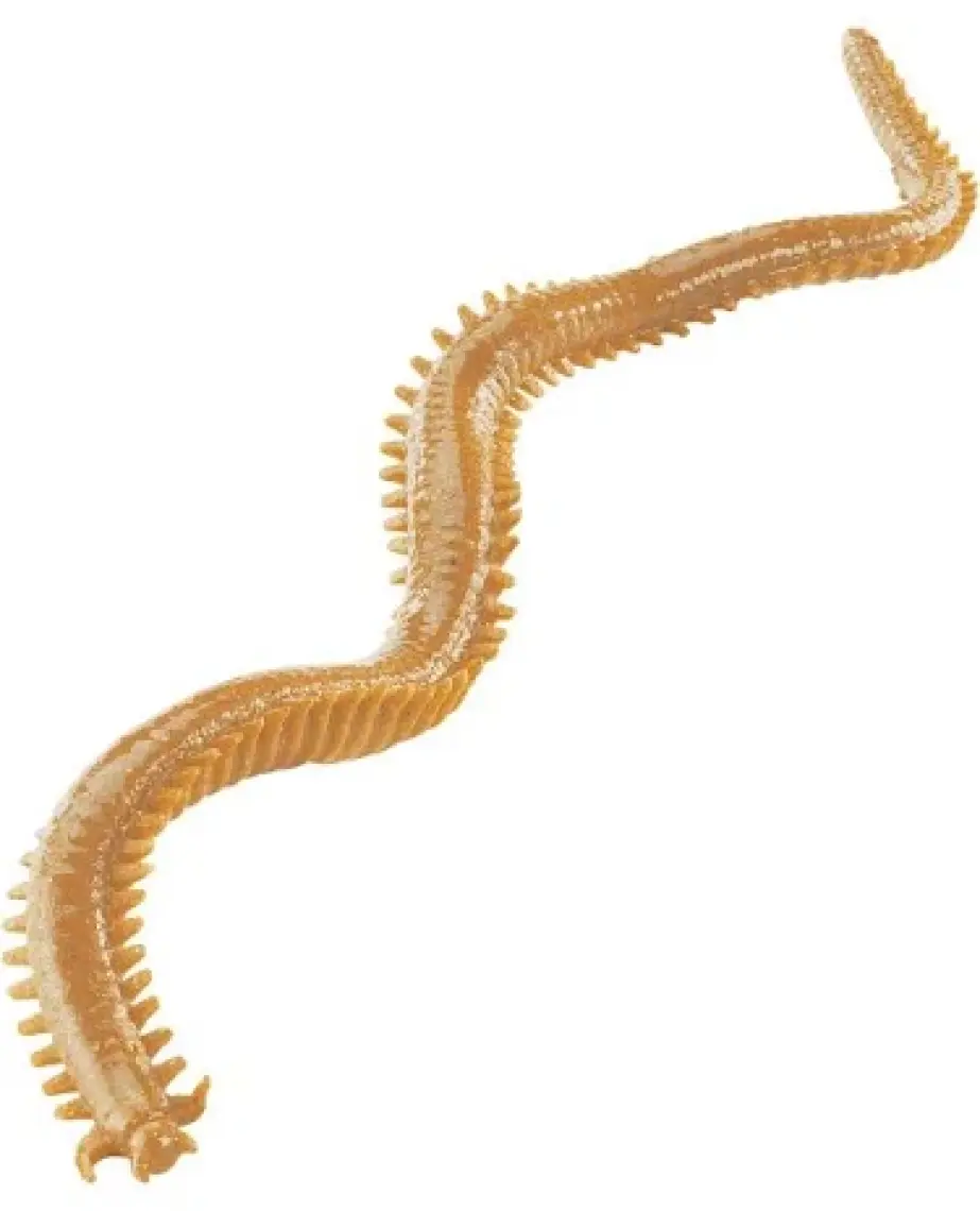 Berkley Gulpsandworm 5 Cm Bloodykokulu Sılıkon