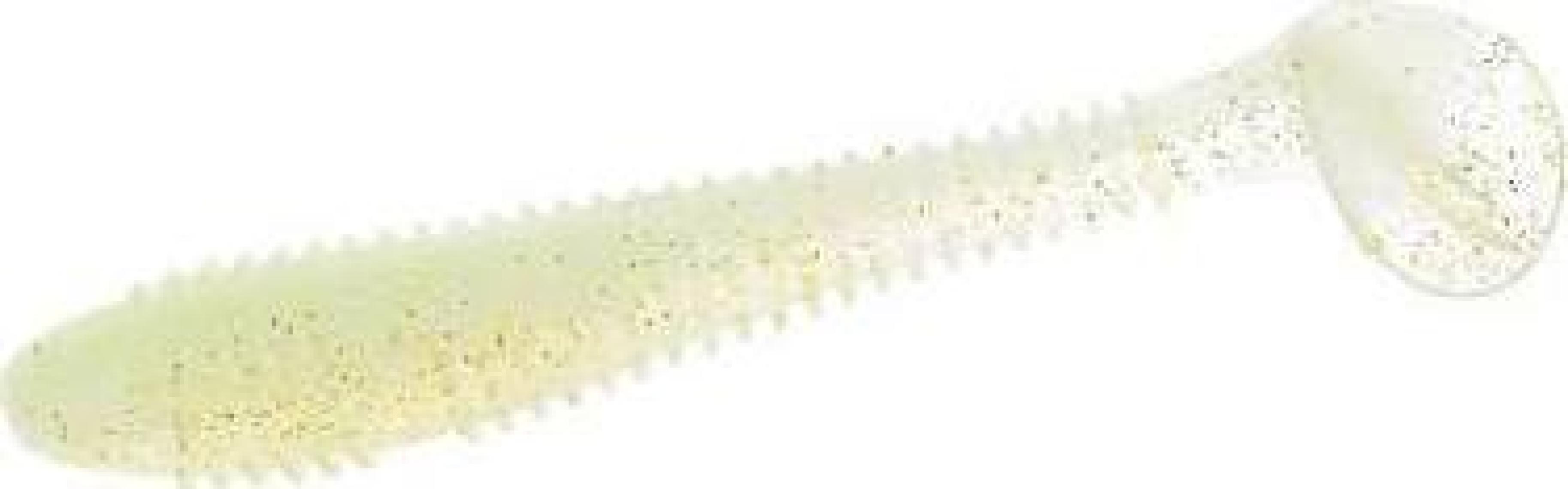 Fujin Round Bait 70 mm Silikon Balık