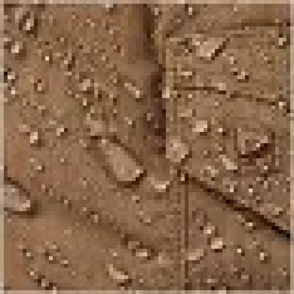 5.11 Icon Pantolon