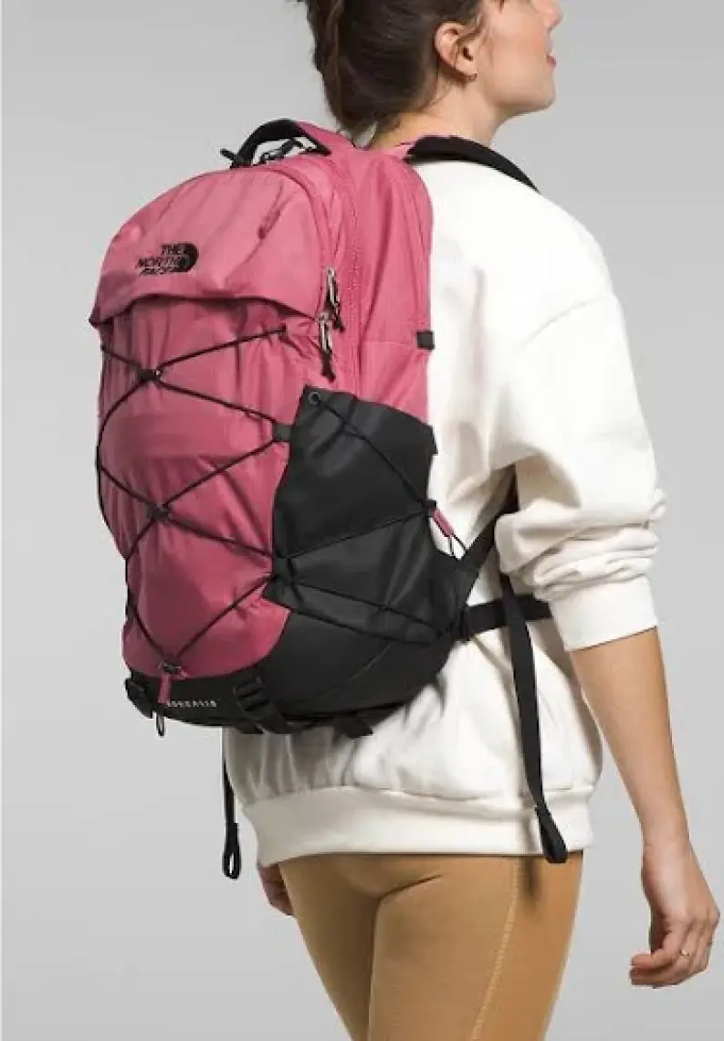 The North Face Borealis Sırt Çantası
