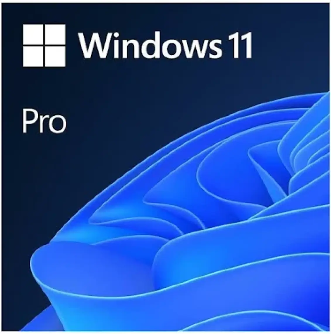 Ms Fqc-10556 Win 11 Pro 64bit Tr Dvd Işletim Sistemi
