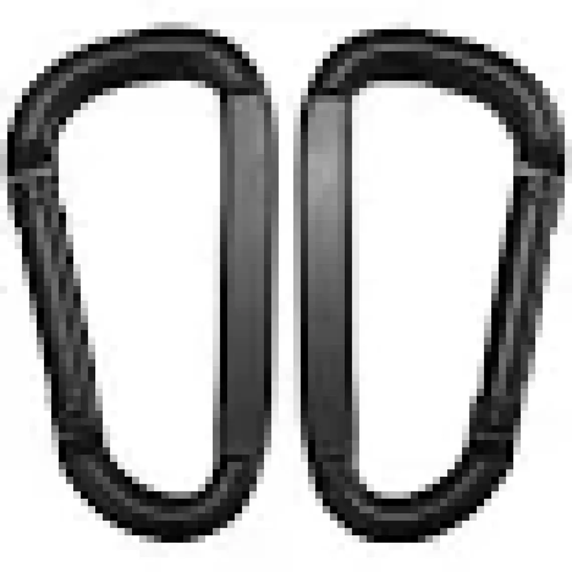 Coghlans Karabina 7.8MM Carabiners 2Li