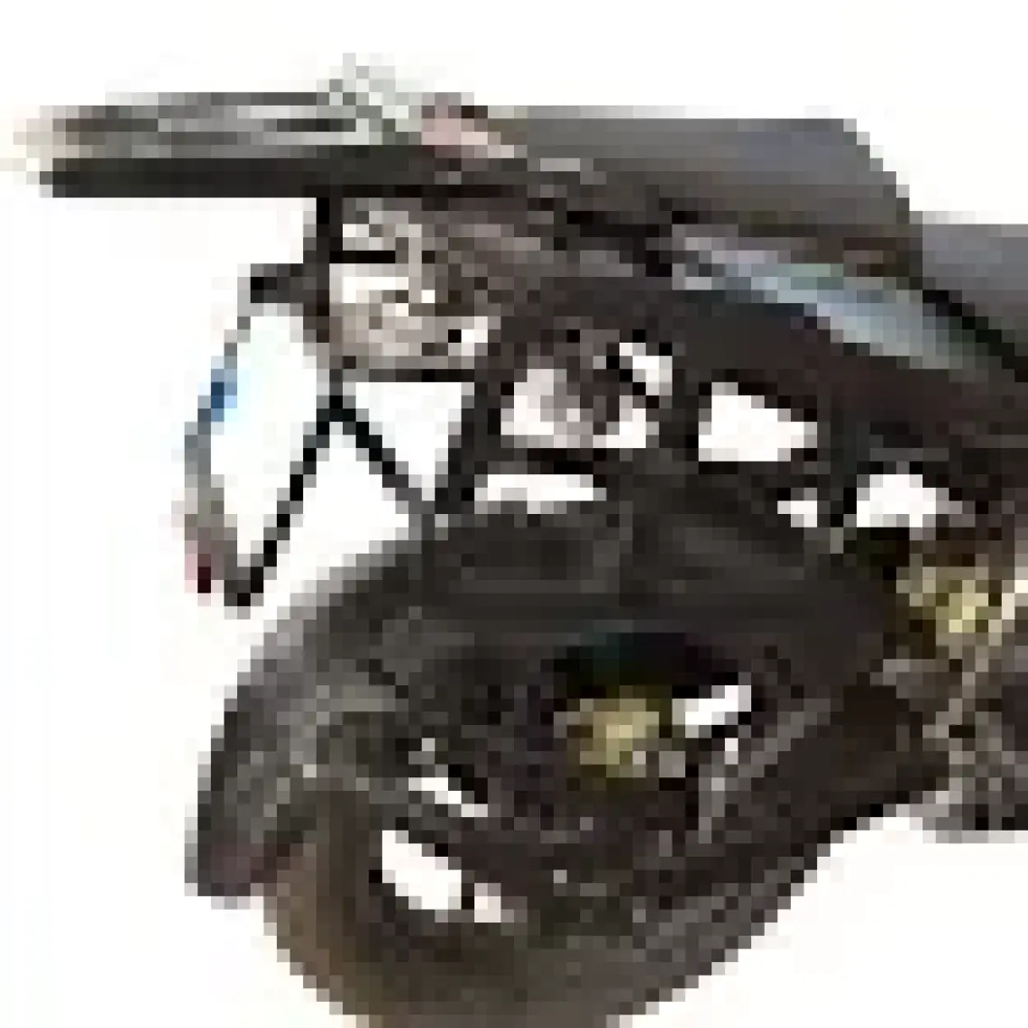 GP Kompozit Bajaj Pulsar NS 200 2011-2023 Uyumlu Yan Çanta Demiri Siyah