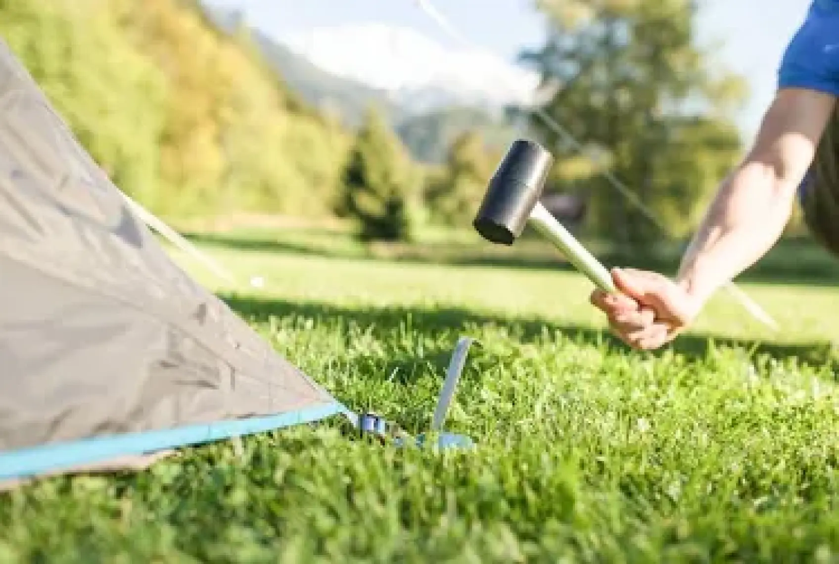 Decathlon QUECHUA Çadır Kazığı - Çelik - 10'lu