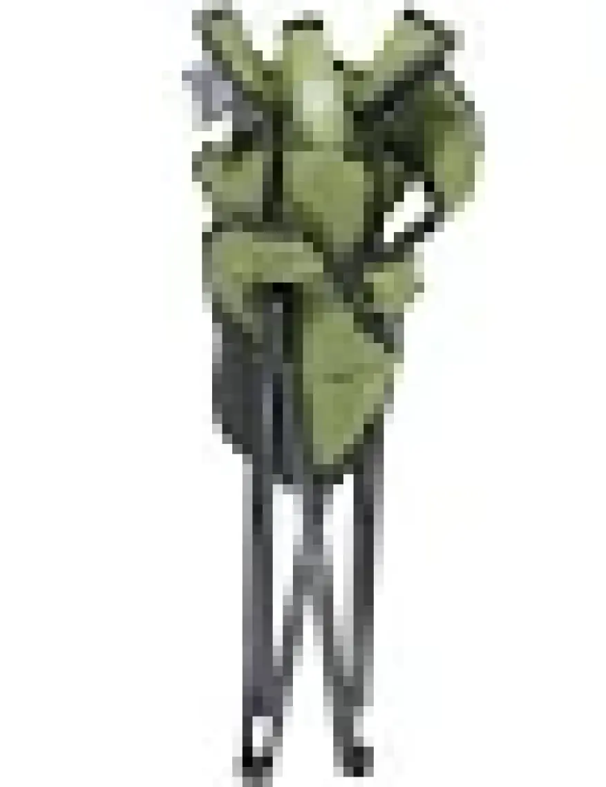 Gray Wolf Quatro Katlanır Lüks Kamp Sandalyesi - Balıkçı Sandalyesi (Yeşil)