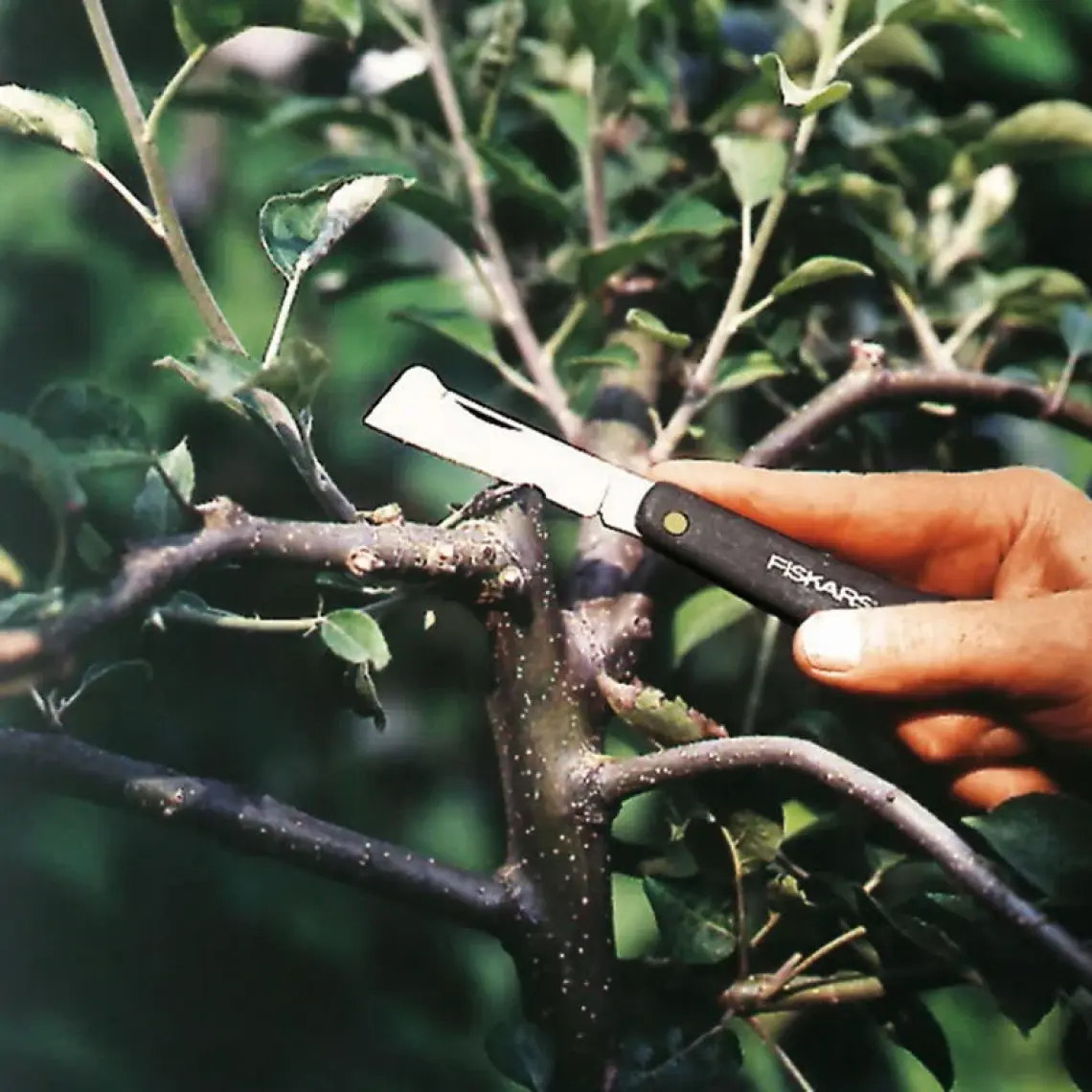 Fiskars Aşı Bıçağı K60 (125900-1001625)