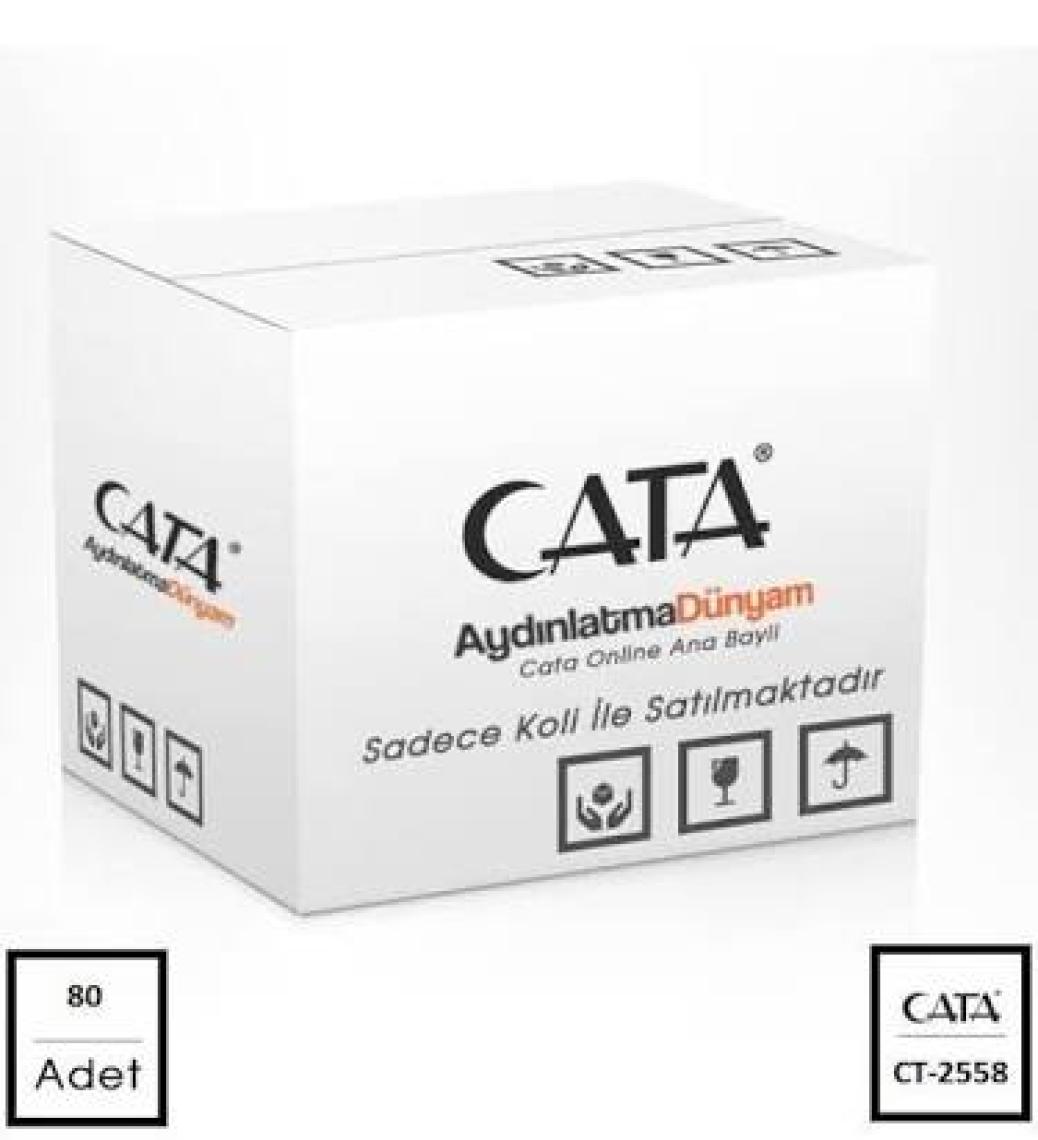 Cata 2A LED Trafosu CT-2558