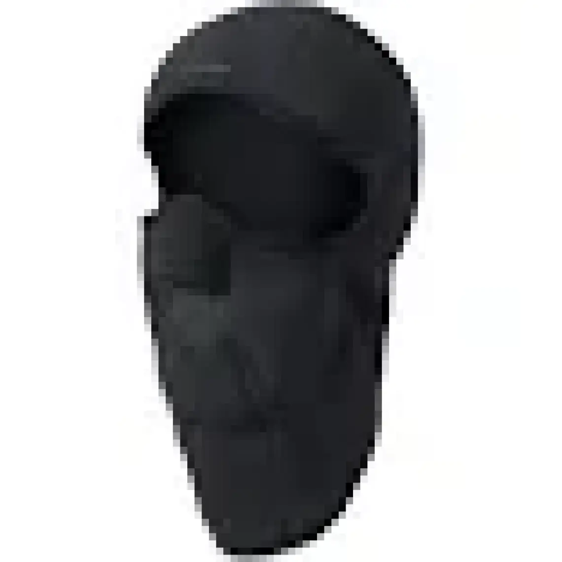 Evolite Polar Balaklava