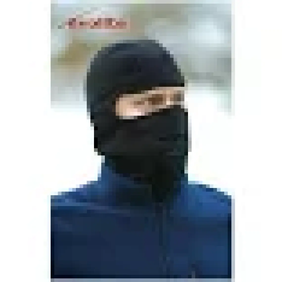 Evolite Polar Balaklava