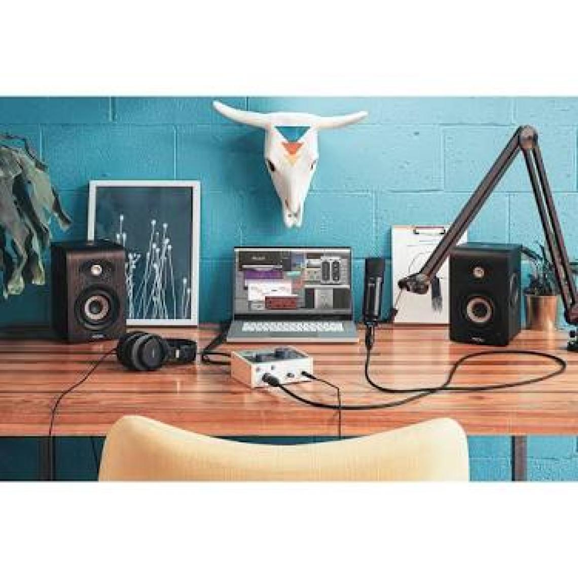 Volt 176 Usb-C Ses Kartı