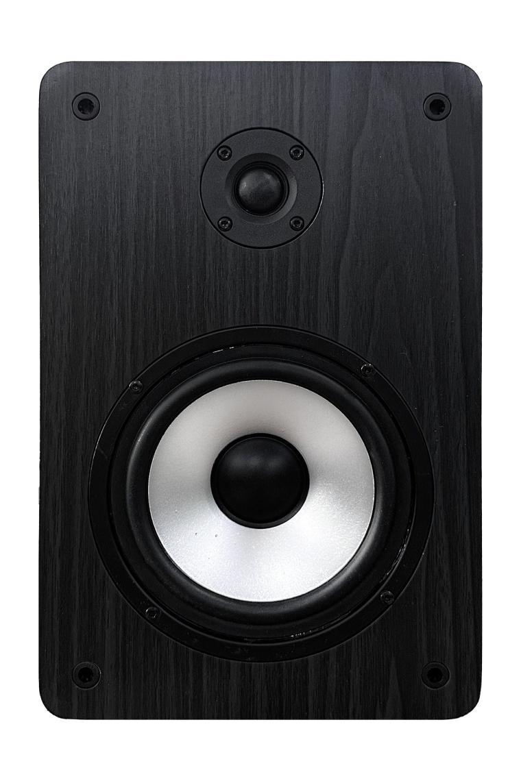 RM-500 Aktif Stüdyo Referans Monitörü 5 İNÇ ÇİFT Bluetooth USB 180 Watt