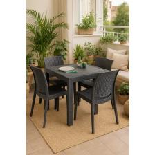 Sandalie Home Rattan 4 Kişilik Bahçe Balkon Masa Takımı - Antrasit