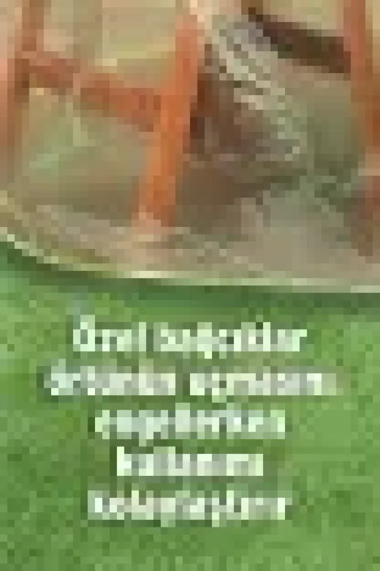 HOMAKS Mobilya Koruma Örtüsü (120x80)