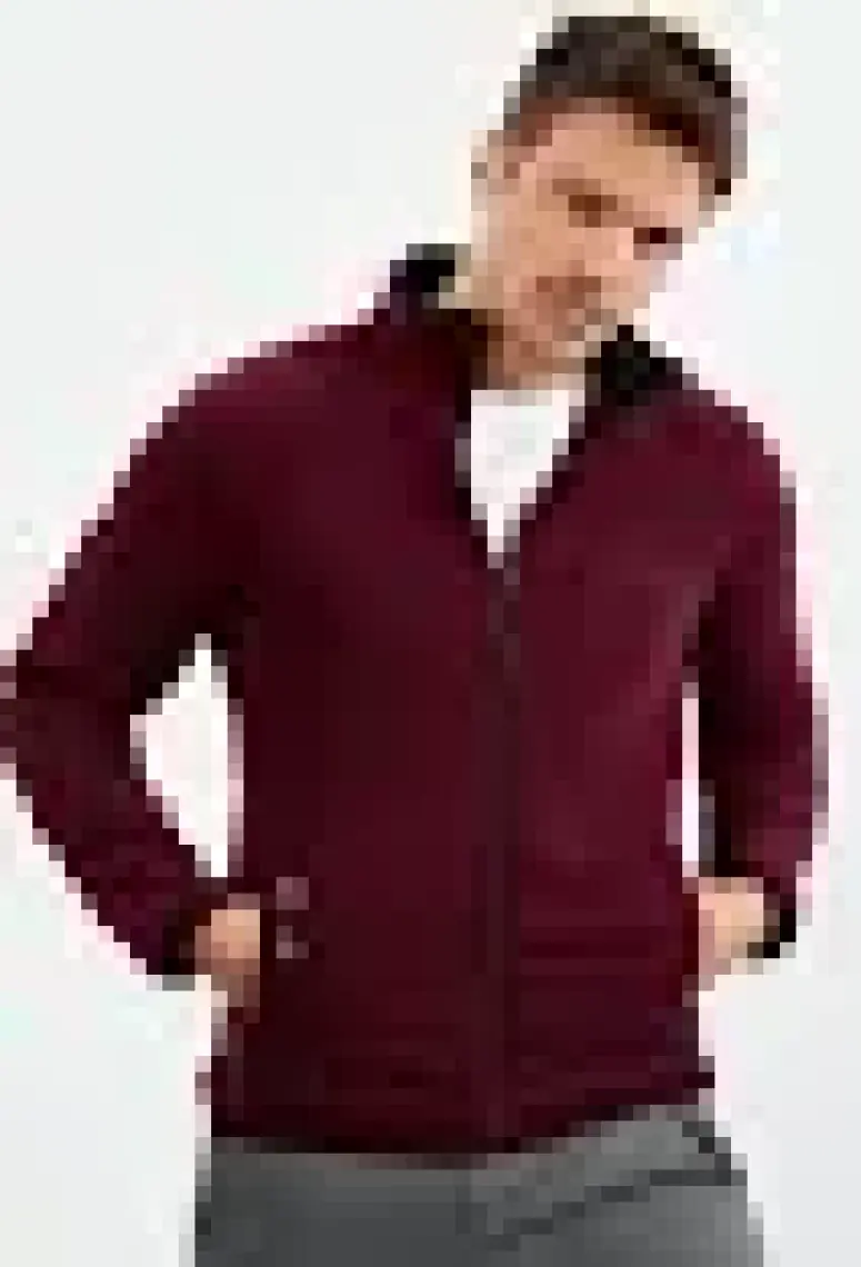 Tommy Life Çağla Yazı Nakışlı Dik Yaka Fermuarlı Standart Kalıp Erkek Sweatshirt Polar - 87992