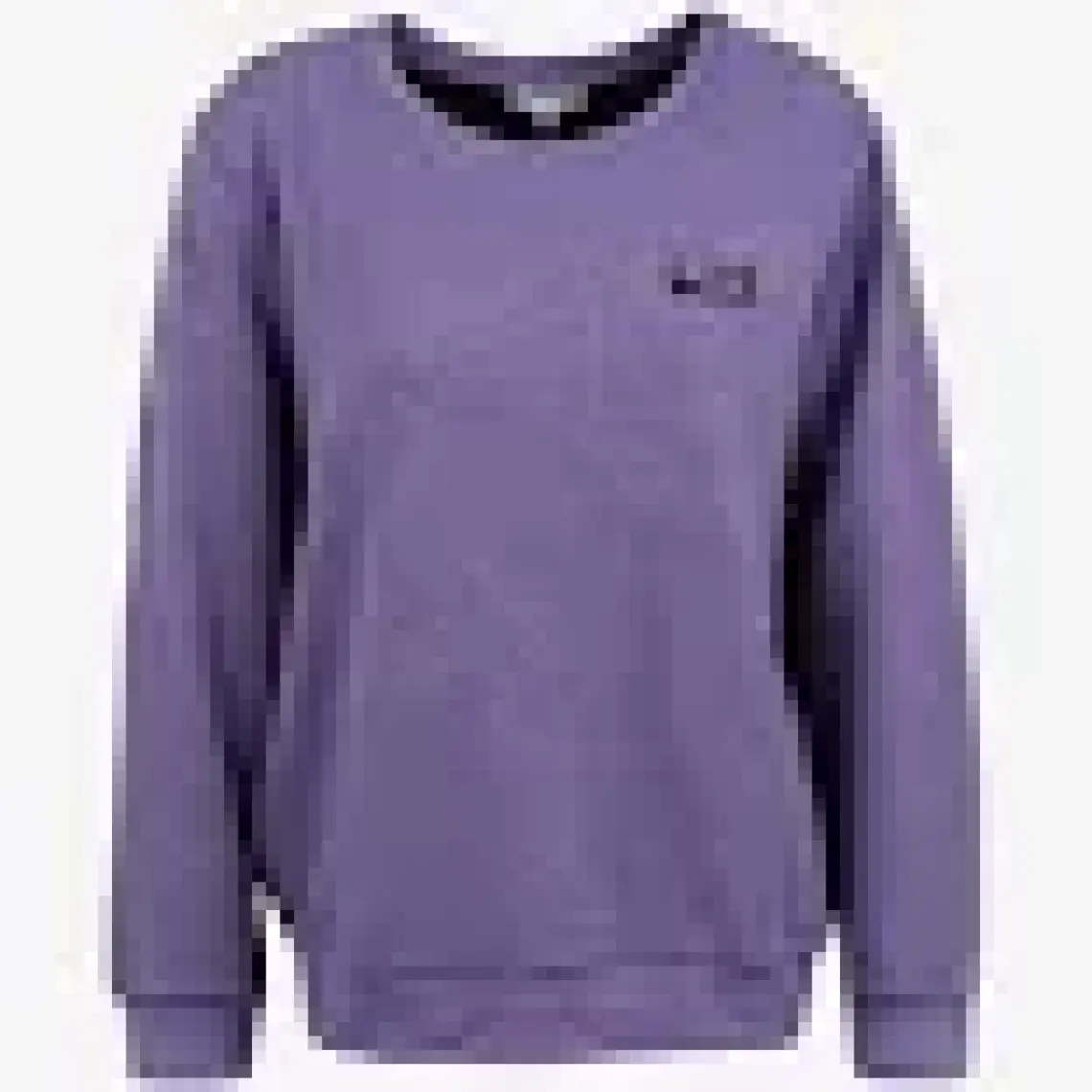 Discovery Expedition Lila Kadın Bisiklet Yaka Sweatshirt D3WL-SWT28