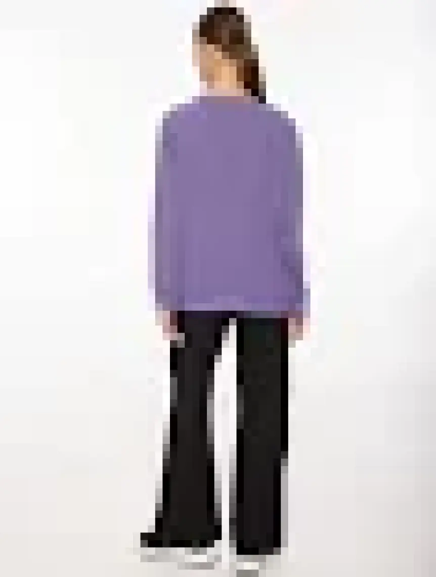 Discovery Expedition Lila Kadın Bisiklet Yaka Sweatshirt D3WL-SWT28