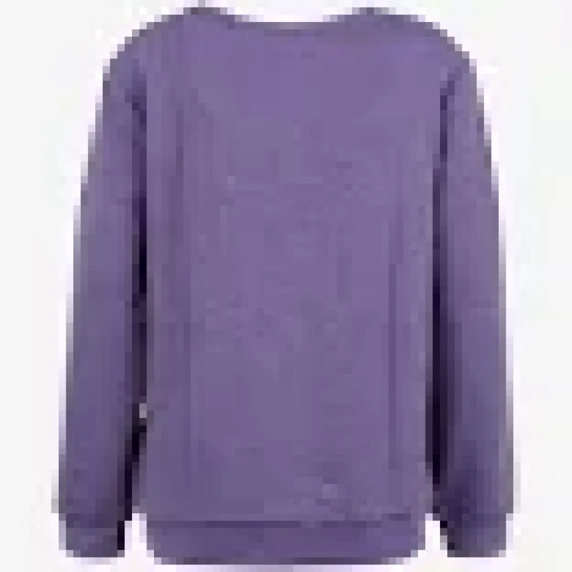 Discovery Expedition Lila Kadın Bisiklet Yaka Sweatshirt D3WL-SWT28