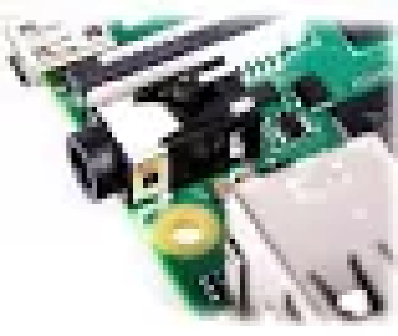 Raspberry Pi 4 - 4GB Model B