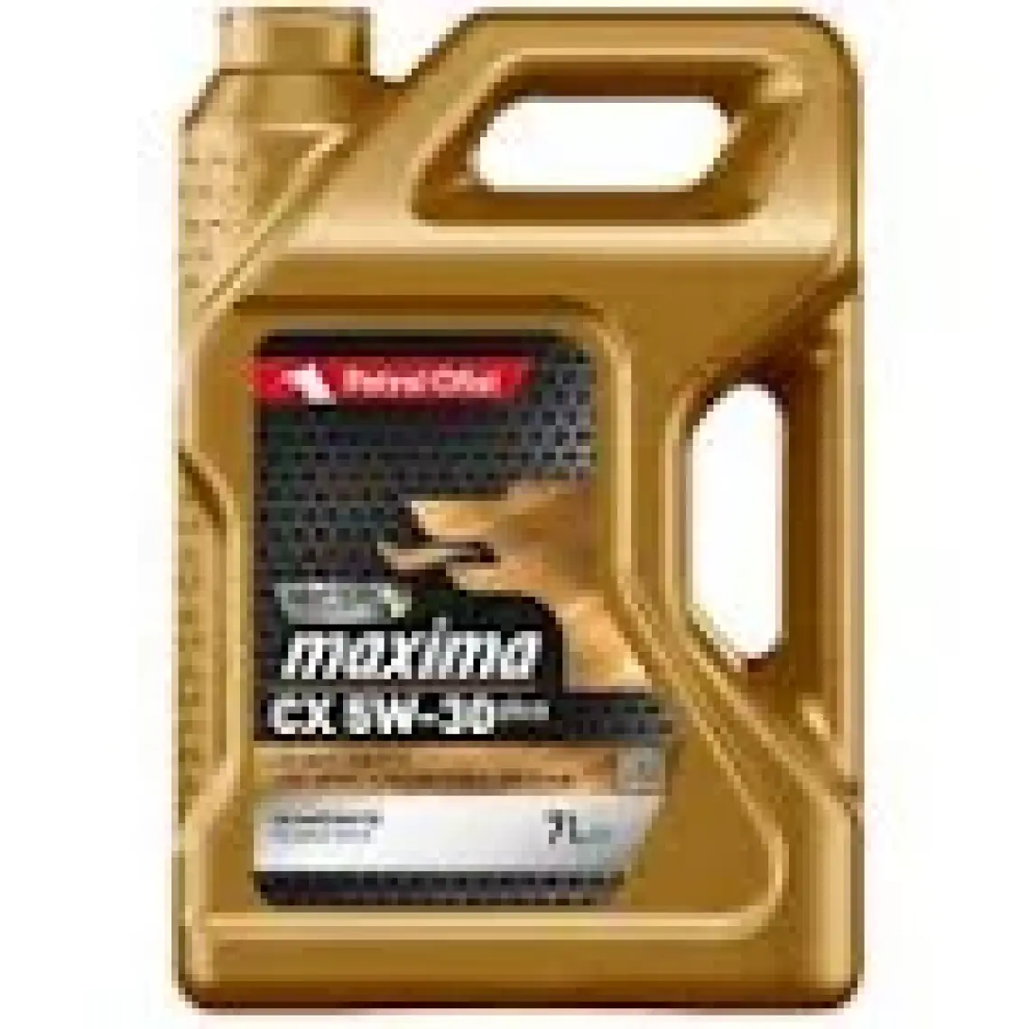Petrol Ofisi Maxima CX 5W-30 7 Litre Motor Yağı ( Üretim Yılı :2023 )