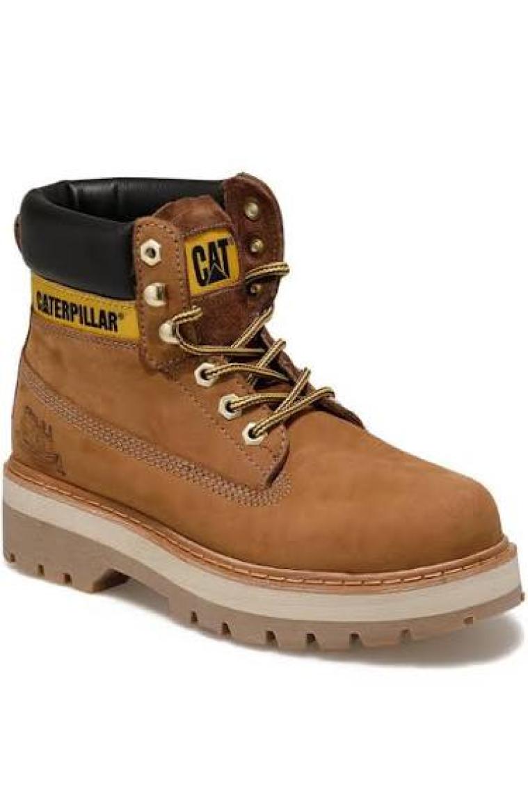 Caterpillar Bot