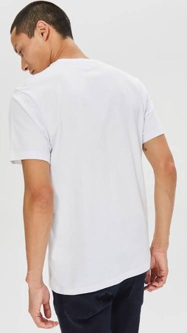 Columbia Cs0282 Csc M Basic Sm Logo Brushed Ss Tee Erkek T-Shirt