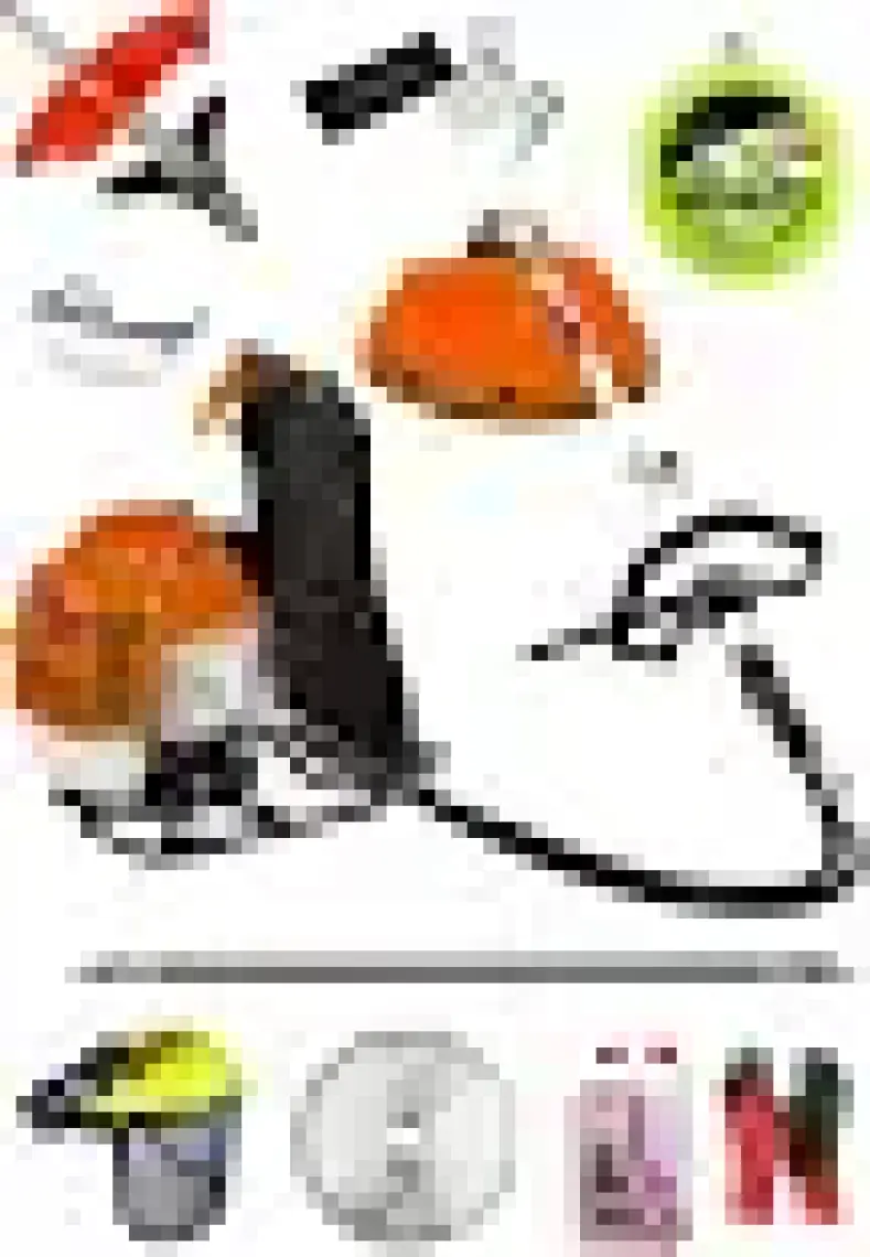 Deko Magnezyum Motor Benzinli Sırt Tipi Tırpan Makinesi Ot Çayır Çalı Kesme Tırpan Makinesi 7.9hp 63CC
