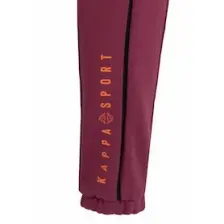 Logo Defi Kadın Bordo Regular Fit Eşofman Altı