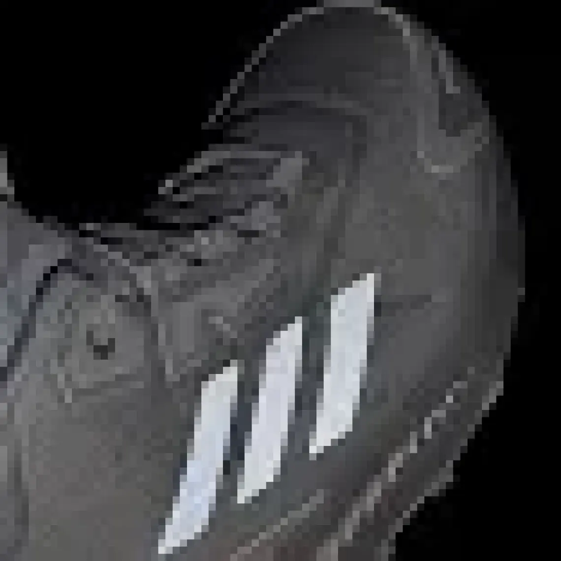 adidas Terrex ID0898 Terrex Anylander Mid Rain.rdy Hiking Shoes