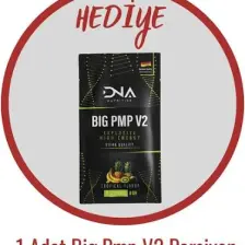 Dna Nutrition Aol (Arjinin - Ornitin - Lizin) 300 gr